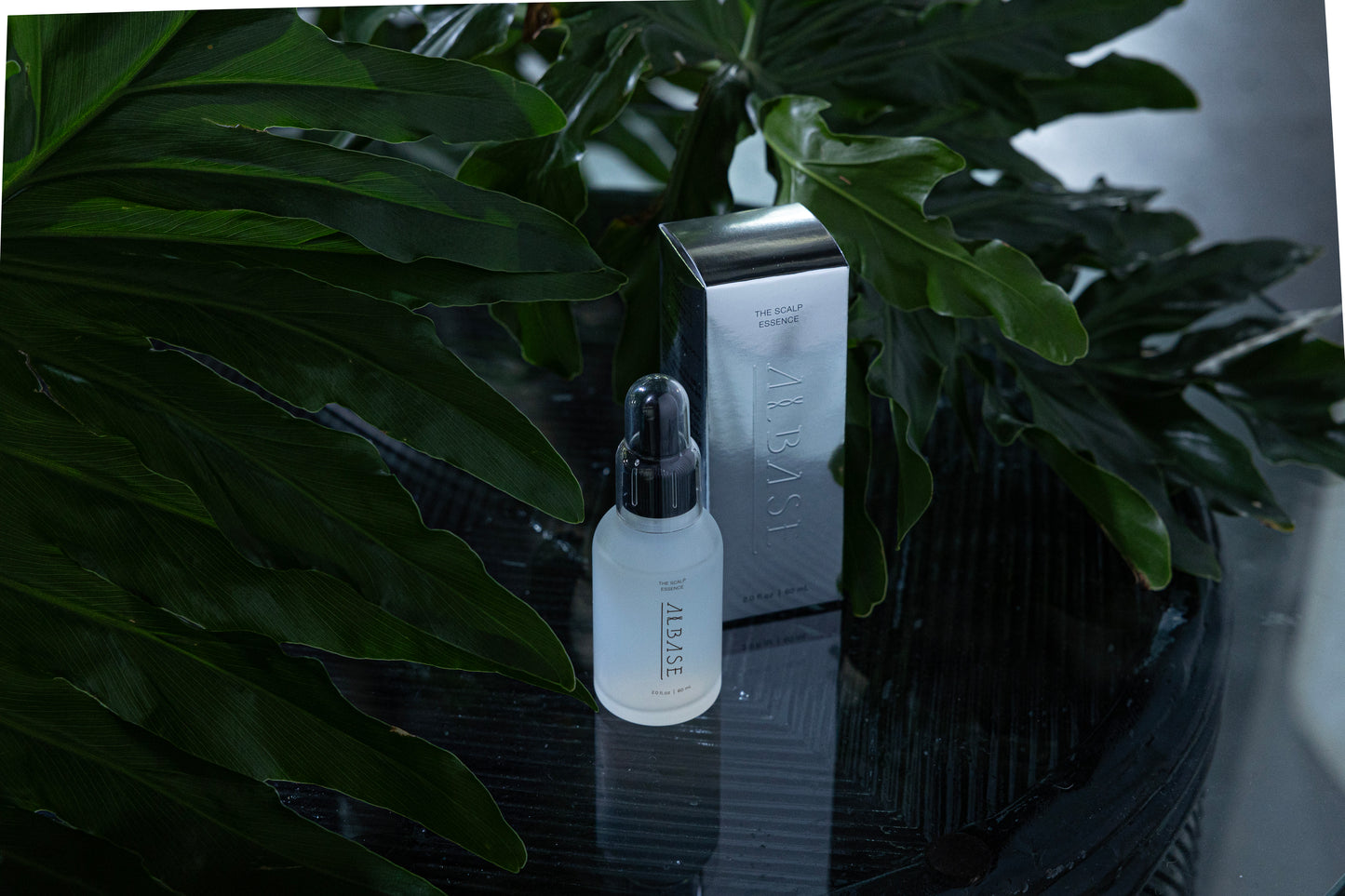 【初回限定】アルベイズ・ザ・スカルプエッセンス1本スターター定期便【初回40%OFF以降ずっと20%OFF】