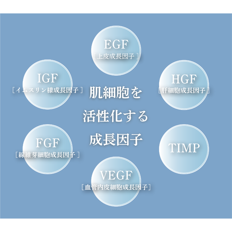 最終修正_1@2x.png__PID:a7bae861-fa70-4a0e-942e-89e107187c2e