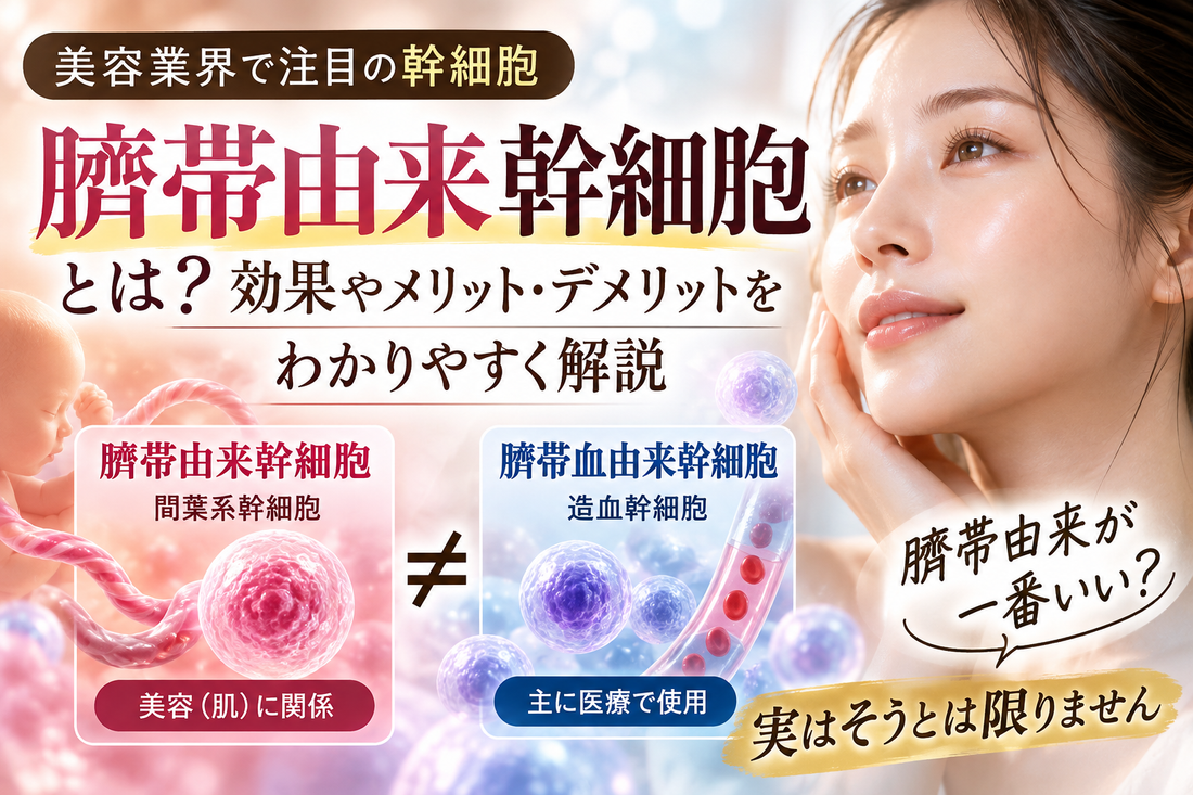臍帯幹細胞とは？